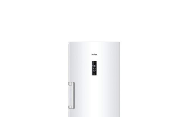  SURGELATEUR ARMOIRE NO-FROST HAIER 