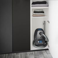 ASPIRATEUR TRAINEAU ROWENTA