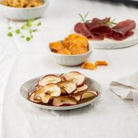 DESHYDRATEUR DE FRUITS FRITEL 